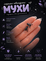 Серьги-гвоздики Мухи - 1,5 см / черный